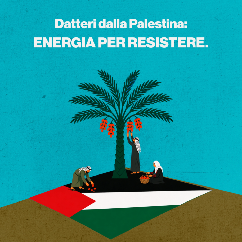Datteri dalla Palestina: energia per resistere